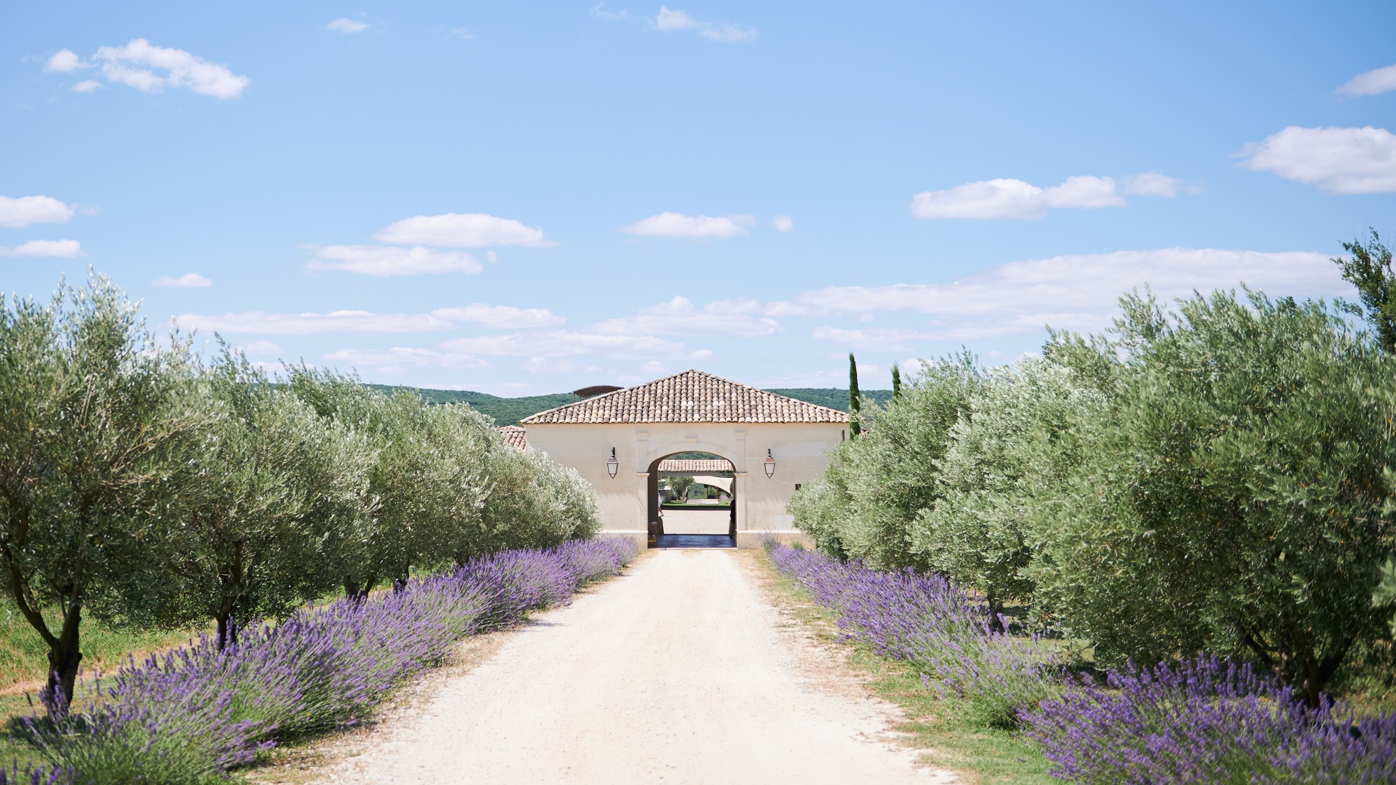 Delicate flowers taped to a wall.